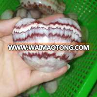 New coming natural polished crystal pork stone heart with beautiful pattern